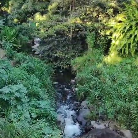 فندق Dome En Bord De Riviere سانت-كلود المظهر الخارجي الصورة